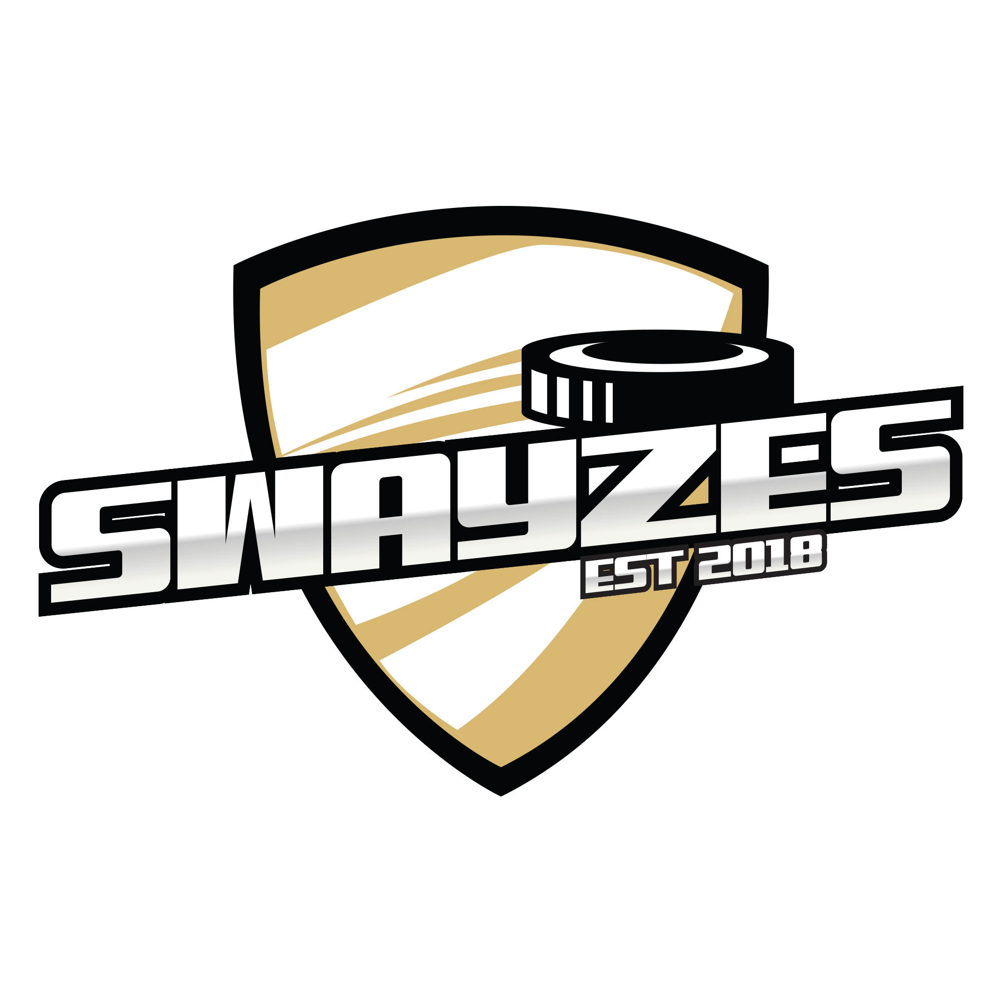 Swayzes logo